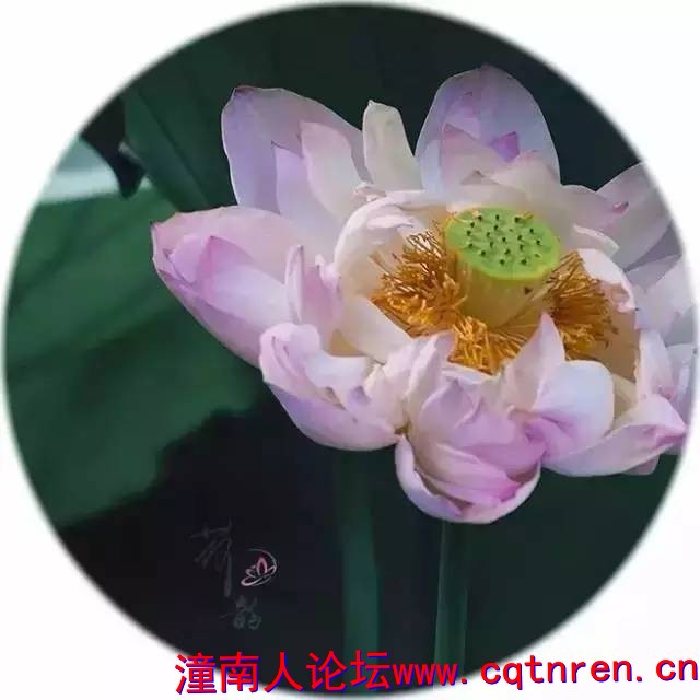 fdc2bc76ad5116e352709cfc153f4608.jpg