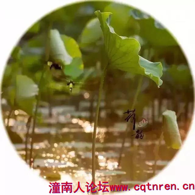 1cde52cb5713e9330f7c58c7a381ae13.jpg