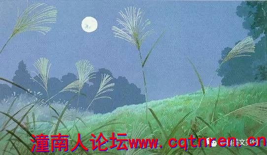 a9f1071f34917864b5320bef097b7106.jpg