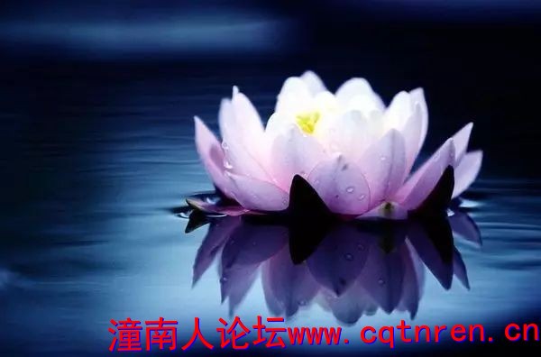 9d62398ec56bd9946514dbbedf16af77.jpg
