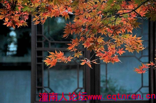 4fe889b046222ddae7e0b3a667b7c7be.jpg
