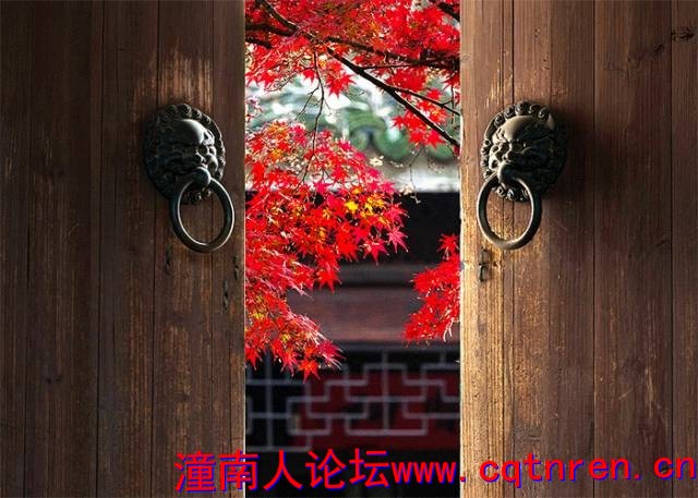 1ff9034fe0e07820d9deb7c7a6be9d39.jpg