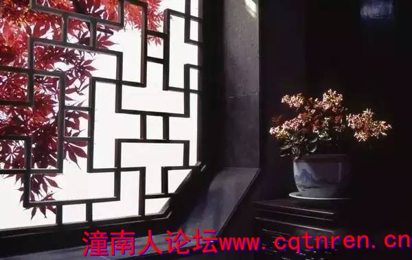 e8aa21f0fc2a69fd88f9174bbae3a1f9.jpg