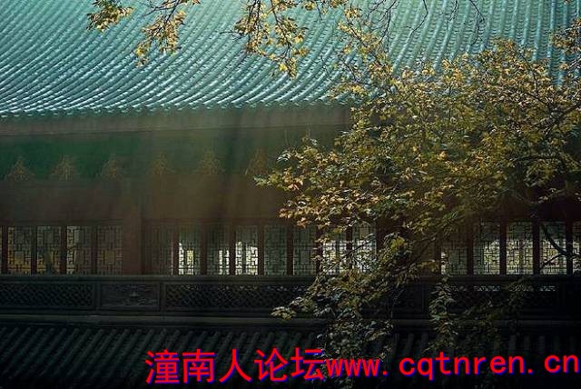 23adbefe3aa1f2630d74fa4eb910d1c7.jpg