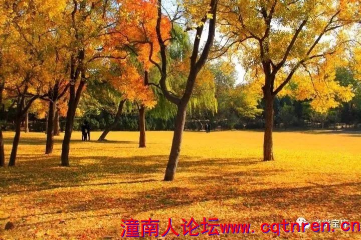 34b444bd5b8fb3287dd7d8fb824e7612.jpg