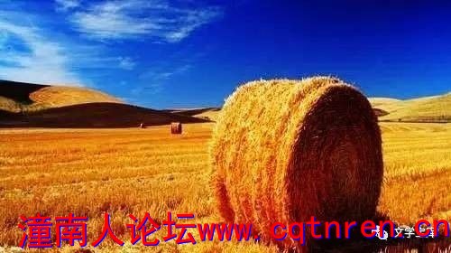 11874d1fb32dacf9265e51c68bc7c09e.jpg