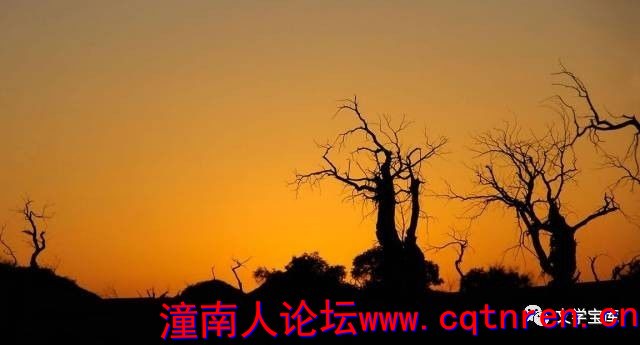 a27ff0c91243b2949360f57b57d86e13.jpg