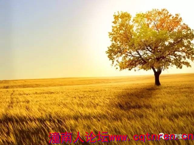 2951cf4a658bd68da0b7fe4fa6912cb5.jpg
