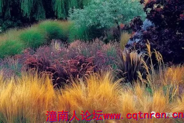 fa722de0be75242144c64057f8c69c6f.jpg