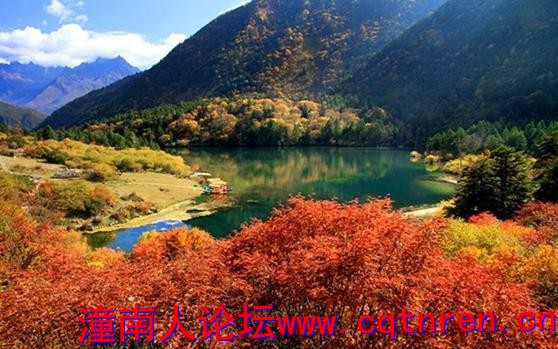 ea95454848d55ea96a10a07bed7fdbad.jpg