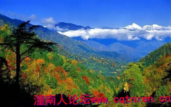 d5bcc520b240cd3cbef67ddc45f23f7d.jpg
