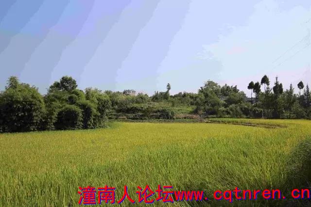 ff2729eaae1cb6cf2d4a9ecf33cb21d9.jpg