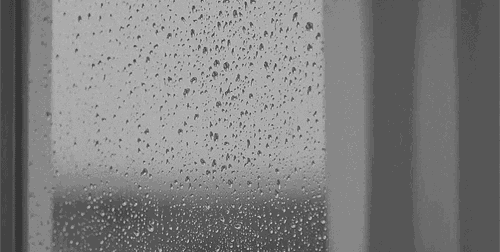 7ef5a85658efbfcf1967a29a155ba9c5.gif