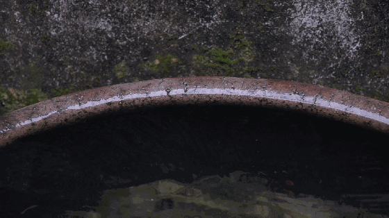 3fe32a8290a8e1fdc3260553fb32ba12.gif