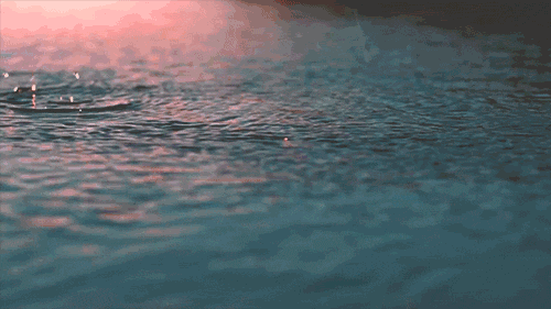 8d2269f996da56a54e4d61a0b1b6a41a.gif