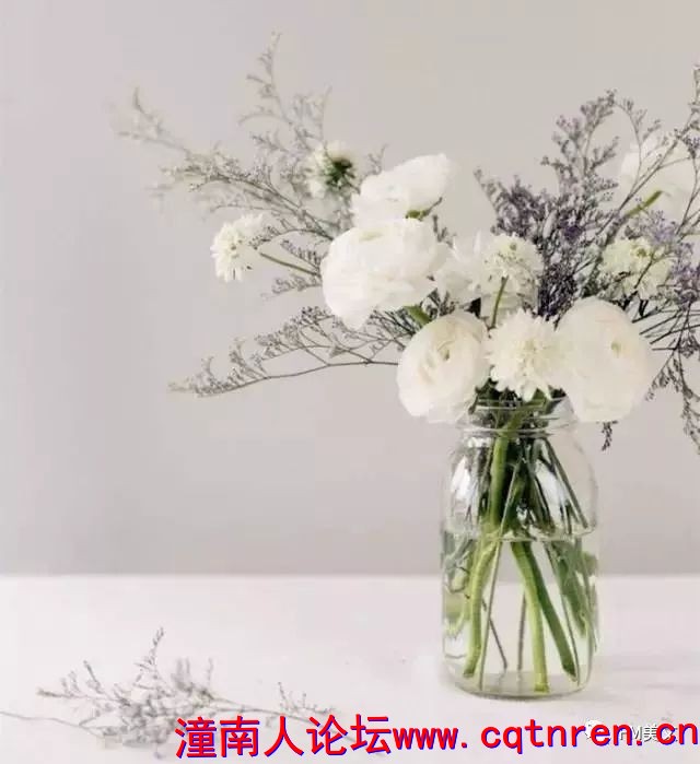 59d272fe1ae4ef1635b93a8087f750fe.jpg