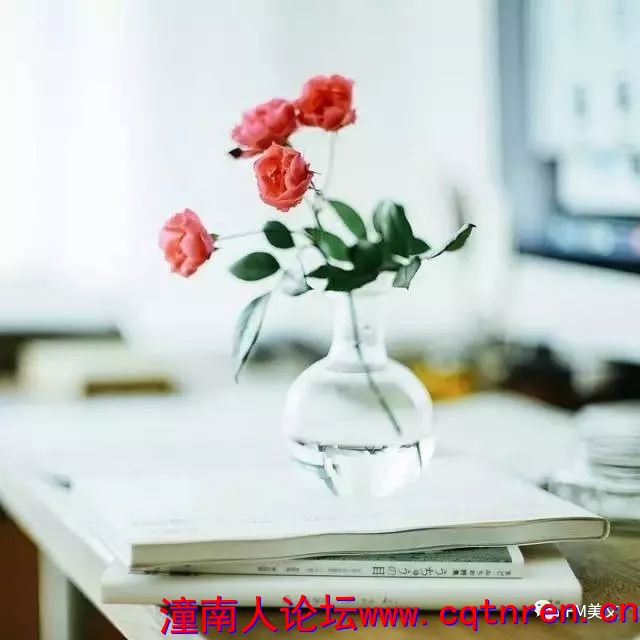 092545bd24008c0dccb9a57c4acba216.jpg