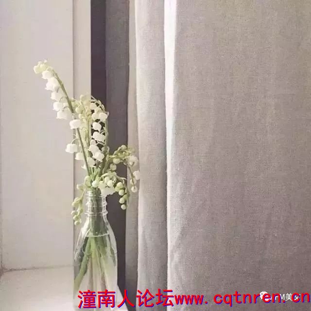 fb14dabd0d377f0958bed0d79ed8a463.jpg
