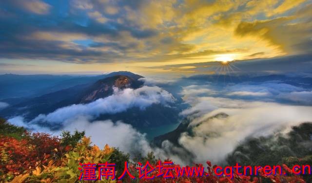 09316dd419c226b13fbf8a7dc7bd9b0b.jpg
