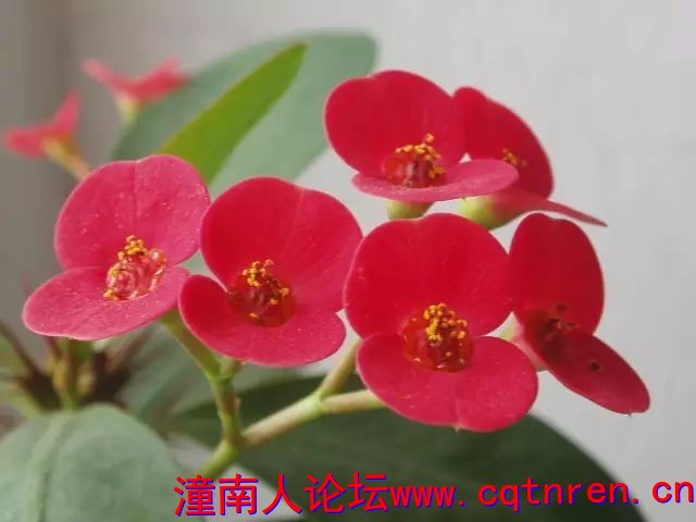 d4d69574d9dcb90a99249e7bcaf89d3c.jpg