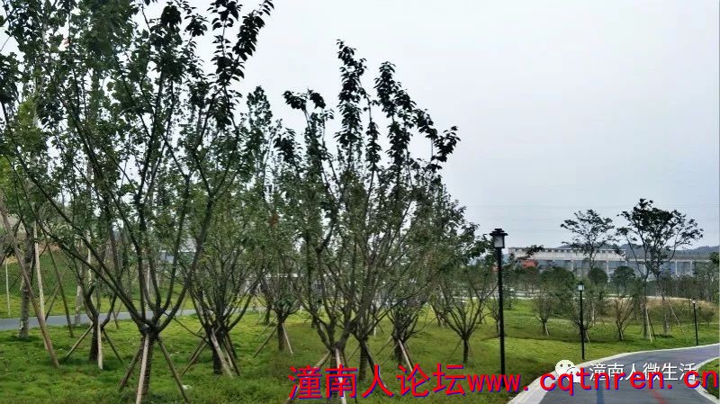 0be2e3eeebca92f7a24383e9eb580330.jpg