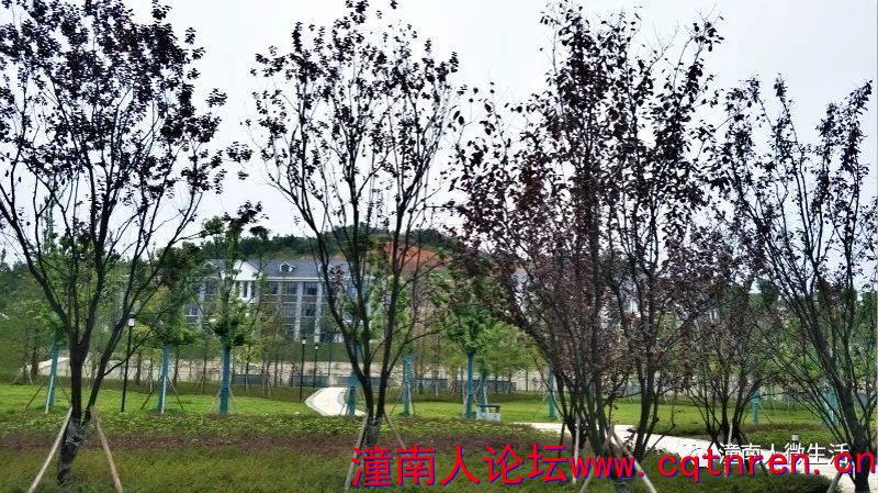ab21ffeca1cdb79fc99014e2c2a627ae.jpg