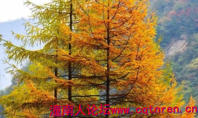 415bc7eb2a5fb0db9916643c12b3fc02.jpg