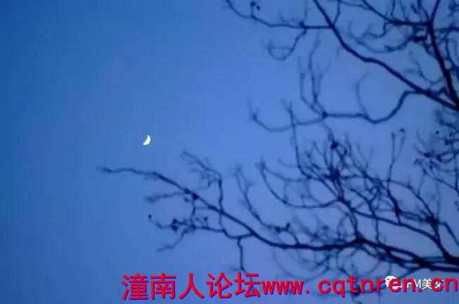 51ead4856f463376171843cfe33be23f.jpg