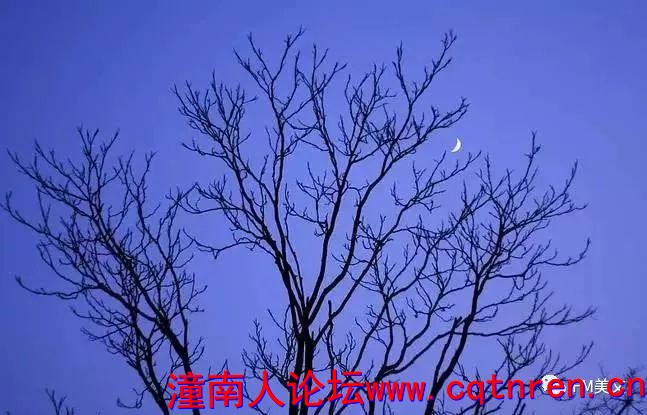 eb6a3e8bdb0fea701acb5e114f4036fd.jpg