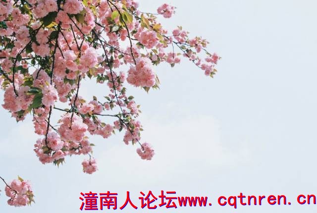 a646c56922915edf64201e5257e0bdc5.jpg