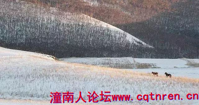 9ef676596af3176cbe066ece590c0d49.jpg