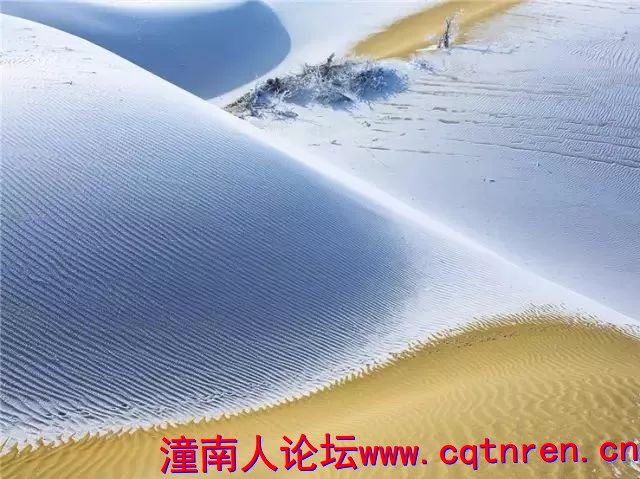 59d9d343aebc5dea1b12b5c5b59135b0.jpg