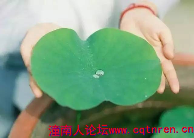 ab39fb95d84f96f73dbd8a8714e768f3.jpg