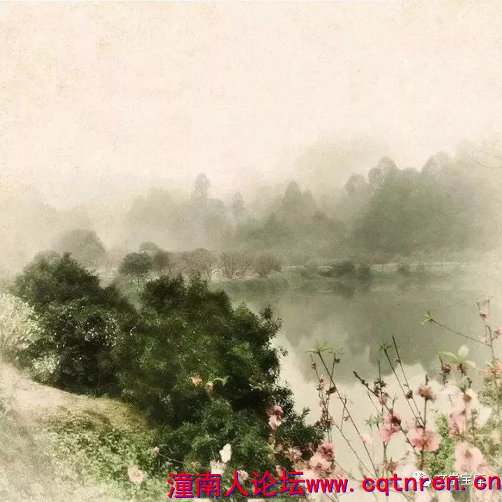 e40faa28d2132ba6ecf68bf91b9c9461.jpg