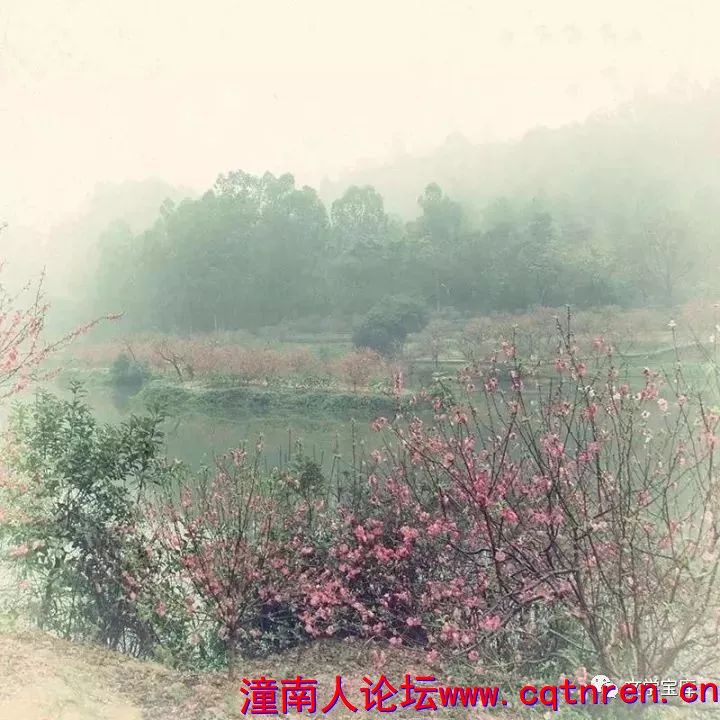 a78f5abc618c0907f5feceb769922752.jpg