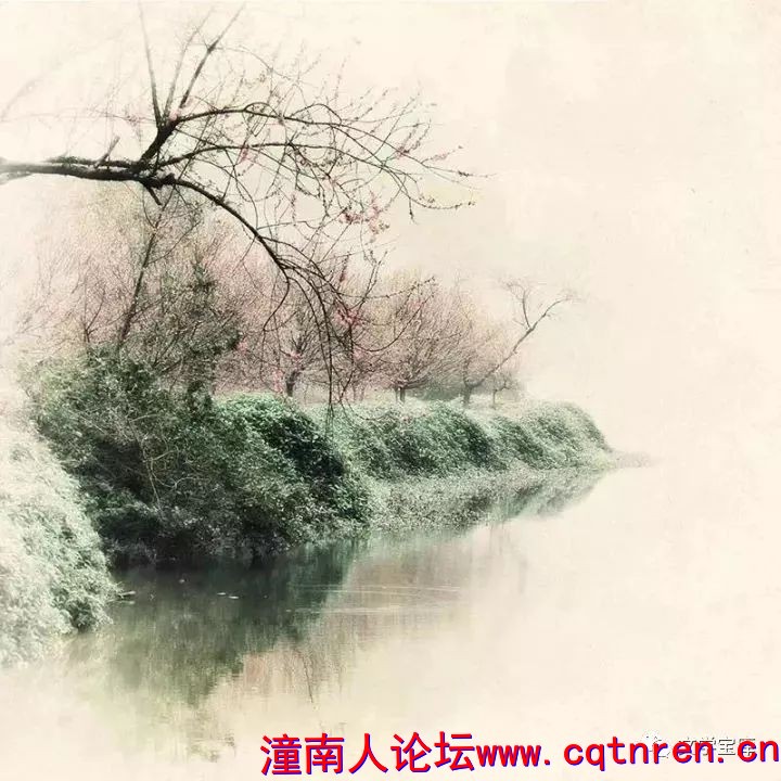 b7c0f4e8e50e01b217fec8be76939bce.jpg