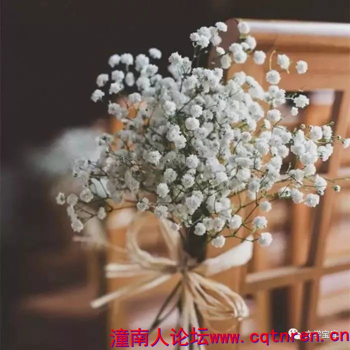 ca02116d134039d369daabef90d1e6fa.jpg