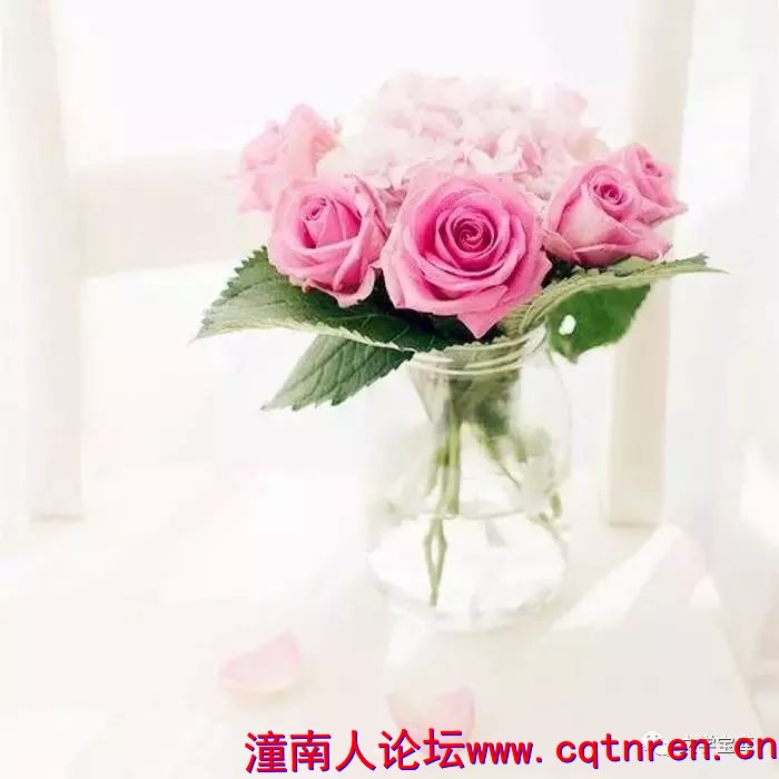 c1a5fb46e8b111a049bb7ef624e0831a.jpg
