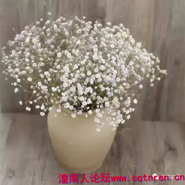 4b405de2734570050d7bb3d4def7ea34.jpg