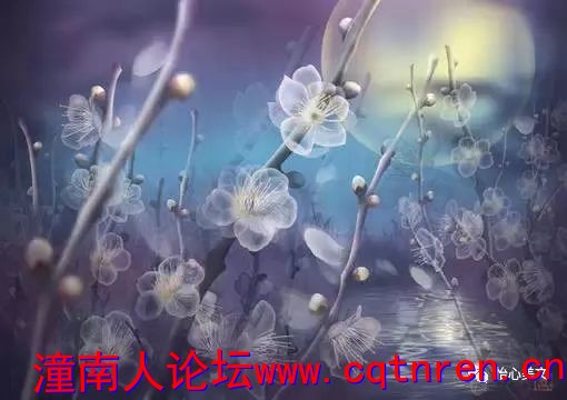 1062d9991b2de8b8efe43f35c2fcacdb.jpg