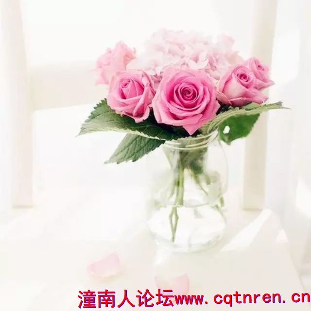 193eae59d32ba37f6cf74205ae0436eb.jpg