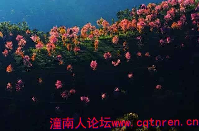 64a2751852de0dbfc64b0da2da12993a.jpg