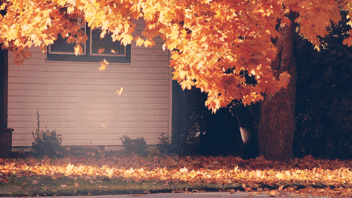 fec9404fc1c7111689b4104f12d6fc59.gif
