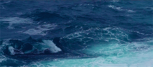 8fdd373892def4142014341d979f6b3f.gif