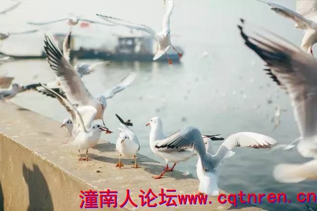 7532da559439cda040d41c7dd97dc800.jpg