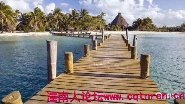 d8ec32a8c793fd091276eccfdb92a925.jpg