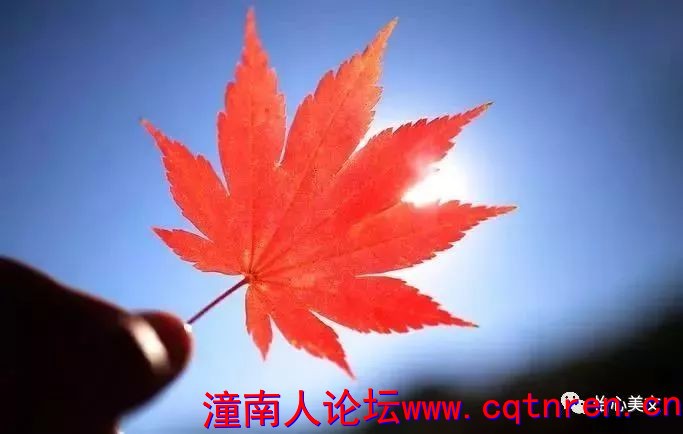 f9b61e84656ec2670d5641076309cdcc.jpg