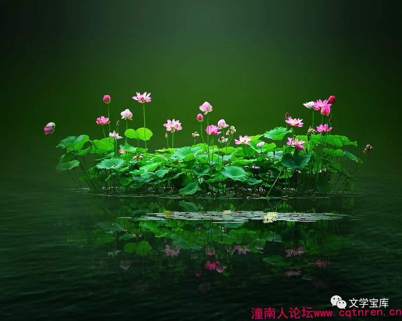 c7039e538fcd180b73410576329babed.jpg