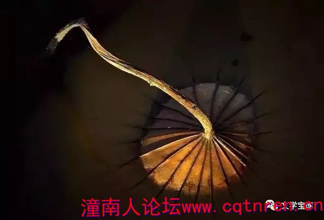 b3bc21453dd6c76bb44ecd859bf6cbab.jpg