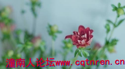 d202f7ec5d5521e3cf8d2304a5ea3061.jpg
